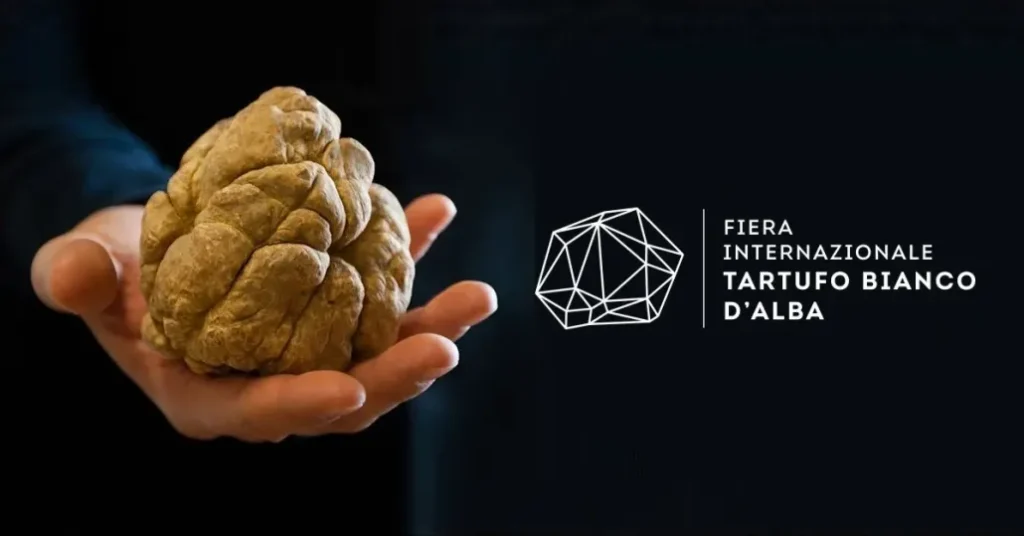 Fiera Internazionale del Tartufo Bianco d’Alba 2026