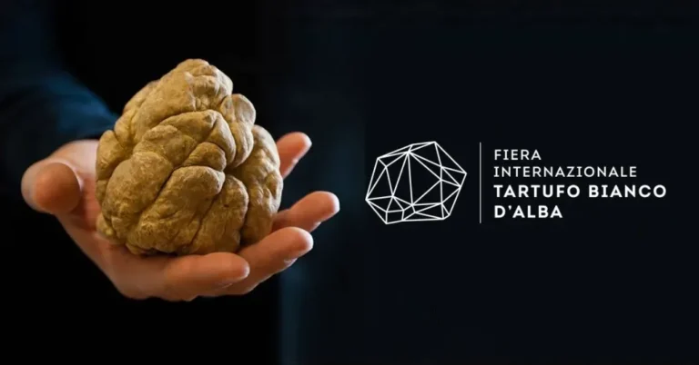 Fiera Internazionale del Tartufo Bianco d’Alba 2026