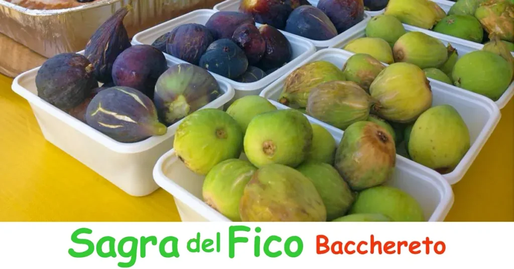 Sagra del Fico 2025 a Bacchereto