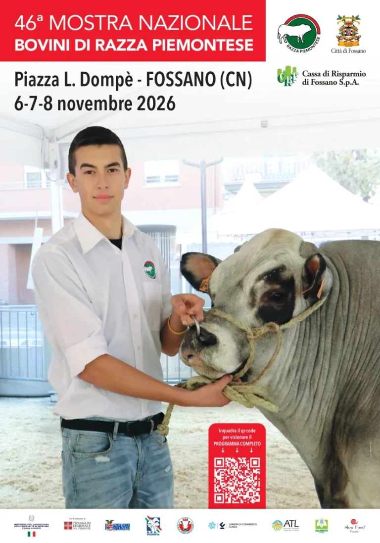 Mostra Nazionale Bovini di Razza Piemontese a Fossano 2026