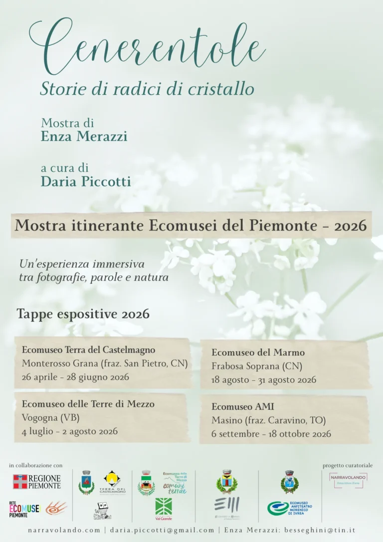 Cenerentole – Storie di radici di cristallo
