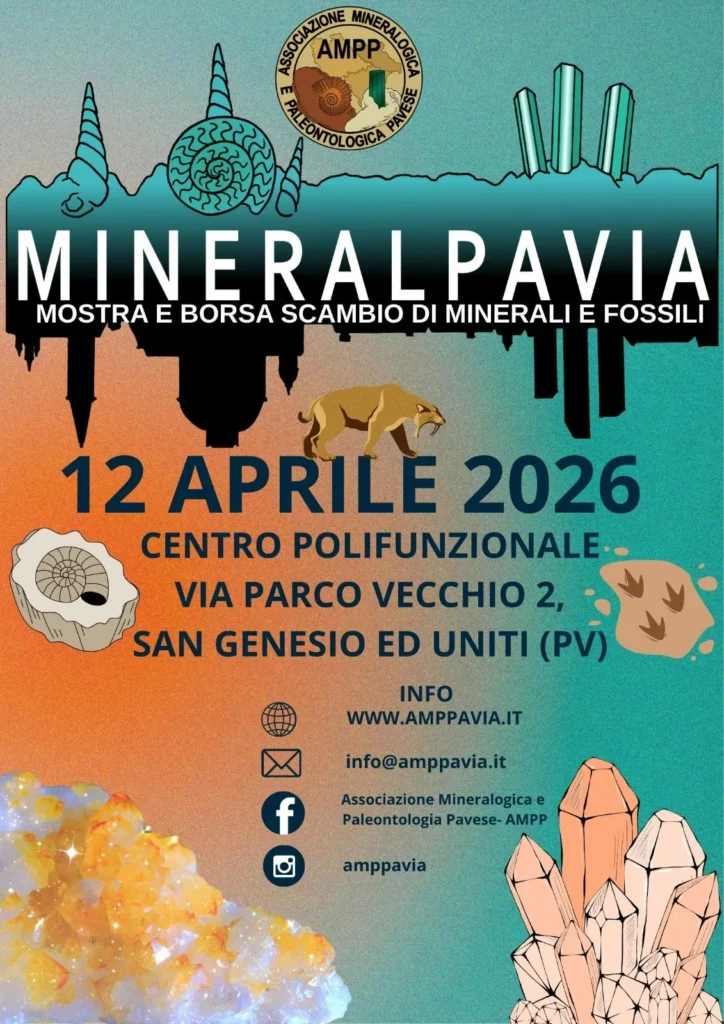 Mineralpavia: mostra e borsa scambio di minerali e fossili Aprile 2026