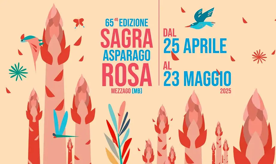 Sagra dell’Asparago Rosa Aprile/Maggio a Mezzago
