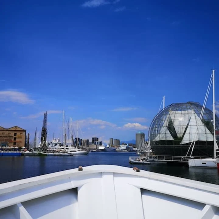 Tour del porto di Genova in barca 2026