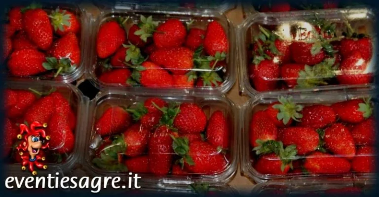 Mercato Settimanale di Saluzzo 2026