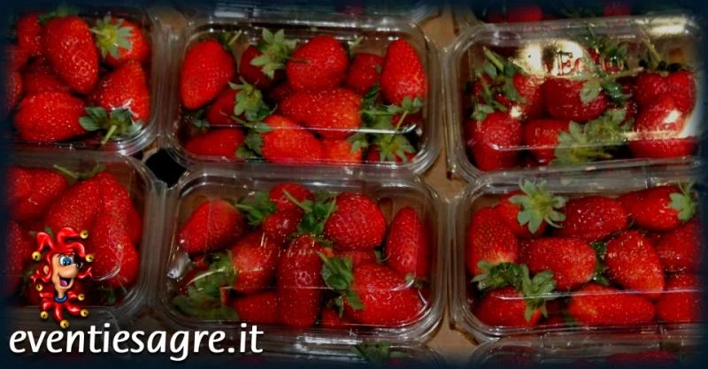 Mercato Settimanale di Saluzzo 2026