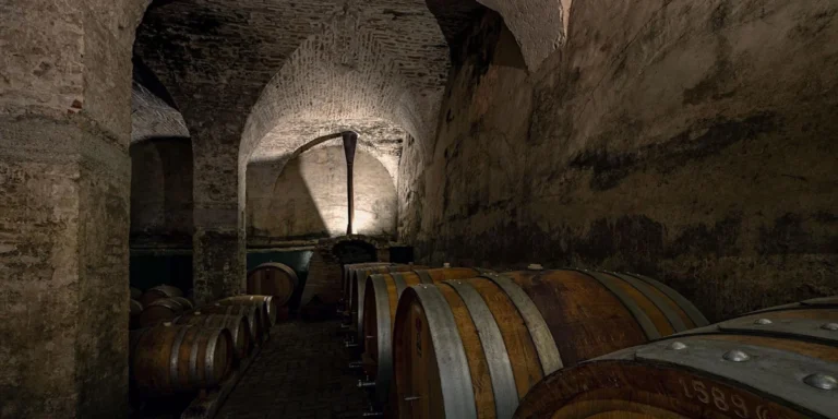 Visita guidata alla cantina dell’Abbazia di Praglia 2024