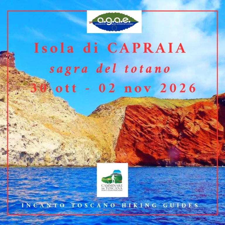 Evento Selvaggia Capraia 2026 a Scarlino Scalo