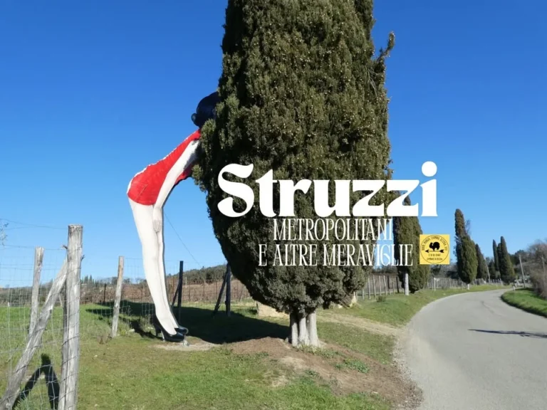 Evento Chianti 2026: camminata e arte in Toscana