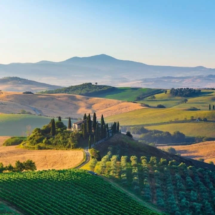 Tour del vino a Pienza e Montepulciano 2026 da Firenze