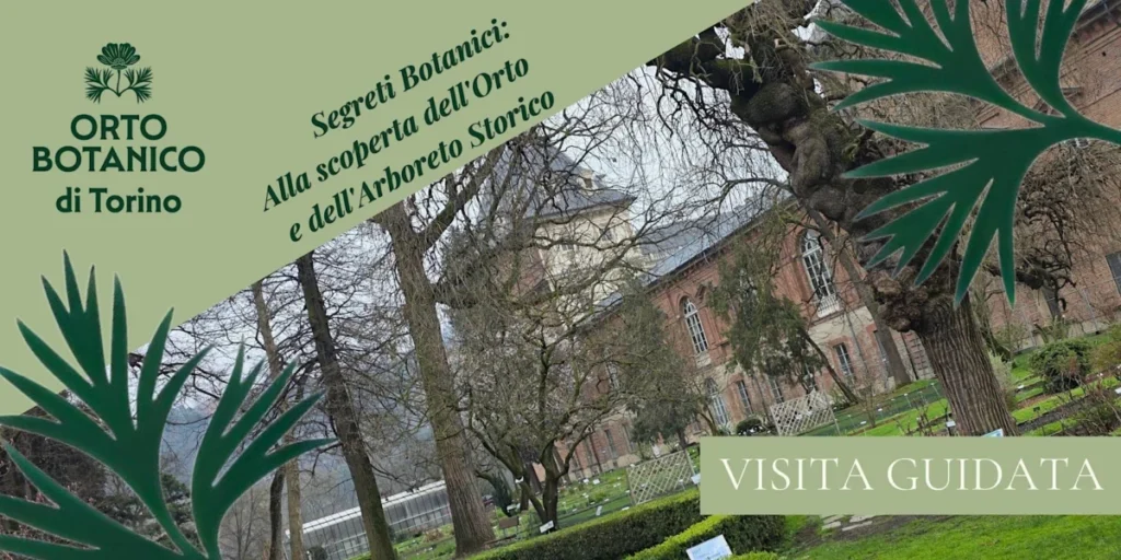 Evento: visita guidata all’Orto Botanico di Torino 2026