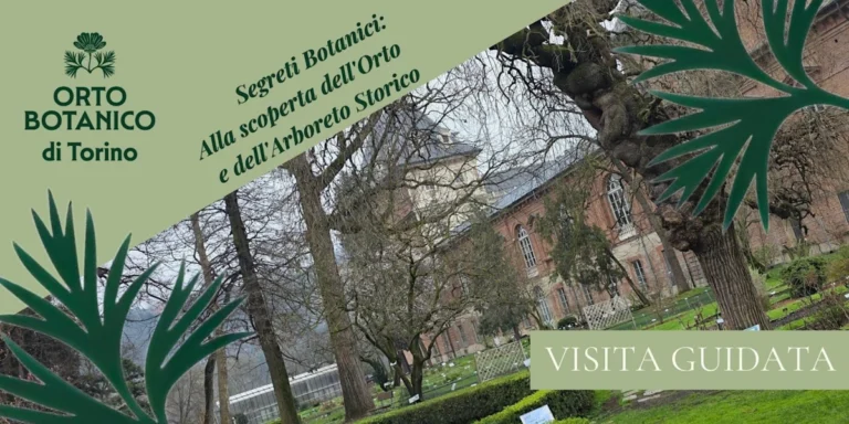 Evento: visita guidata all’Orto Botanico di Torino 2026