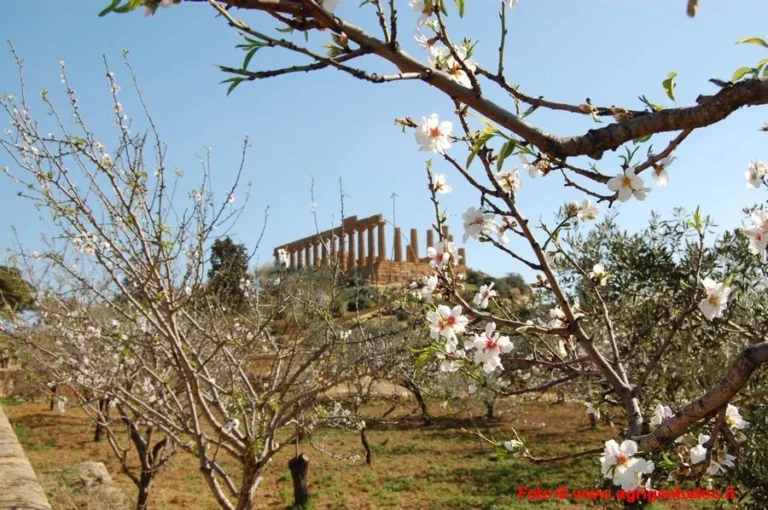 Evento gratuito alla Valle dei Templi Agrigento 2025/2026