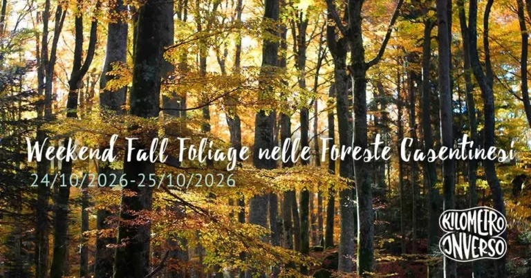 Evento Fall Foliage 2026 nelle Foreste Casentinesi