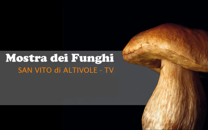 Mostra dei Funghi a San Vito di Altivole 2026