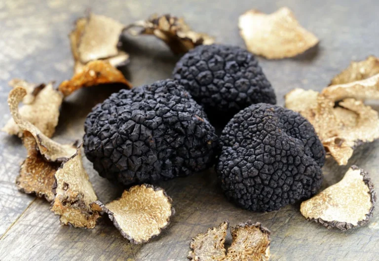 Fiera del tartufo nero di Fragno 2026 a Calestano