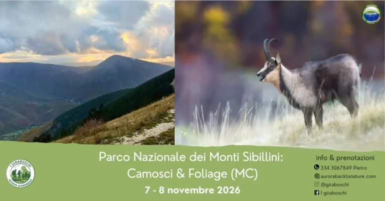Evento Monti Sibillini 2026: fauna e foliage a Castelsantangelo sul Ne…