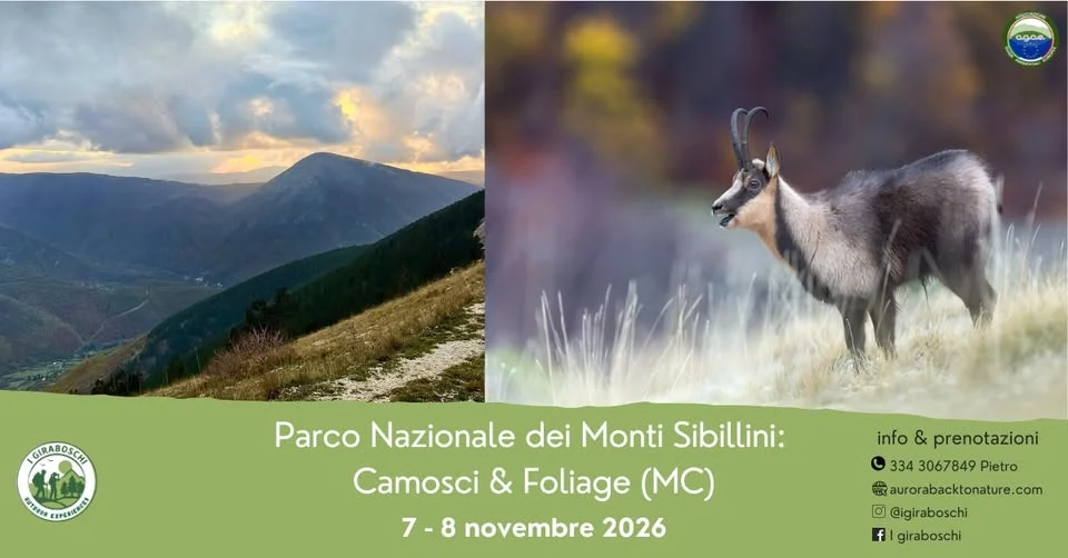 Evento Monti Sibillini 2026: fauna e foliage a Castelsantangelo sul Ne…