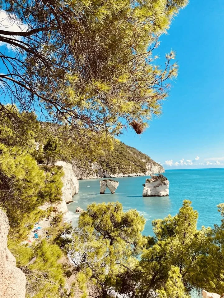 Rivolta delle Puglie contro i Savoia a Vieste 2027
