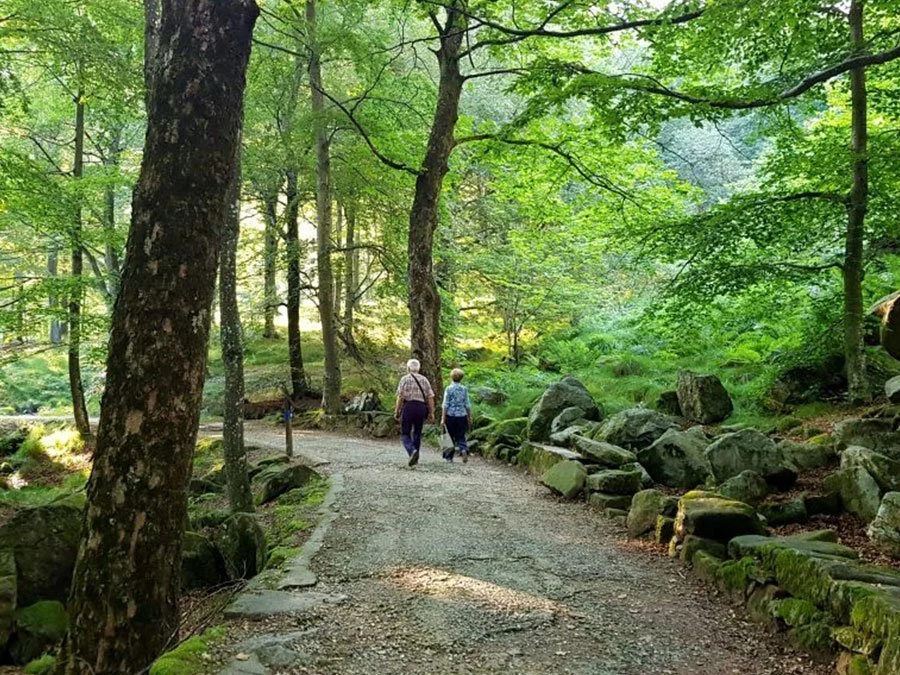 Evento a Biella: Passeggiata dei Preti 2026