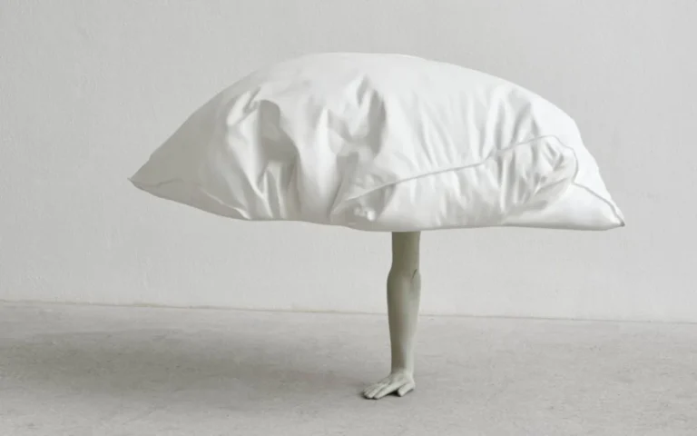 Mostra Erwin Wurm a Venezia 2026