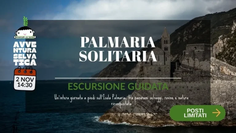 Palmaria Solitaria a Porto Venere 2026