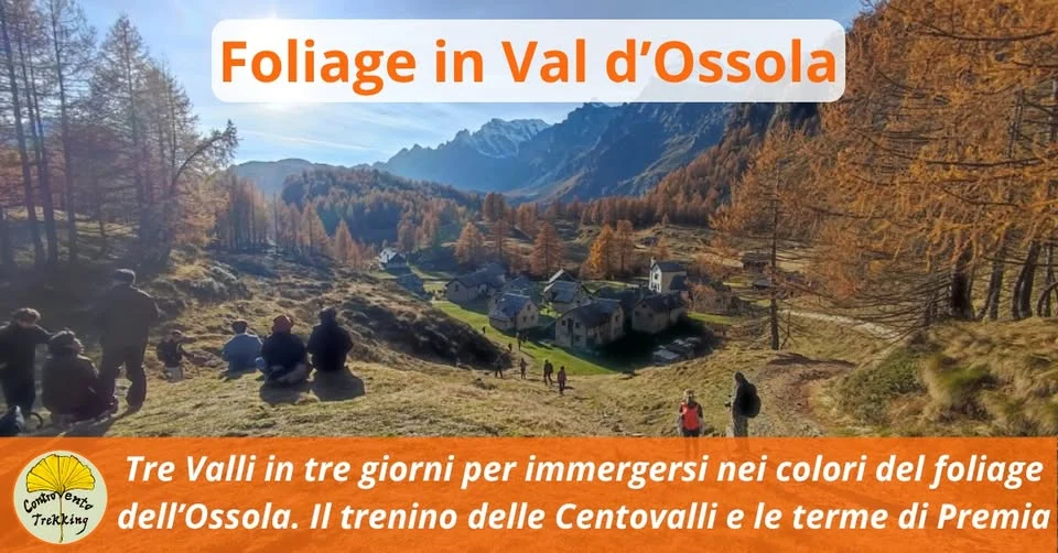 Evento foliage Ossola 2026 a Domodossola